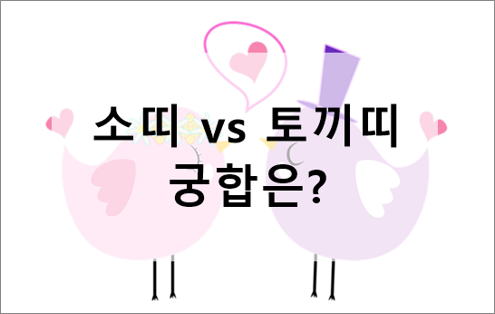 재미로보는 소띠 vs 토끼띠 궁합