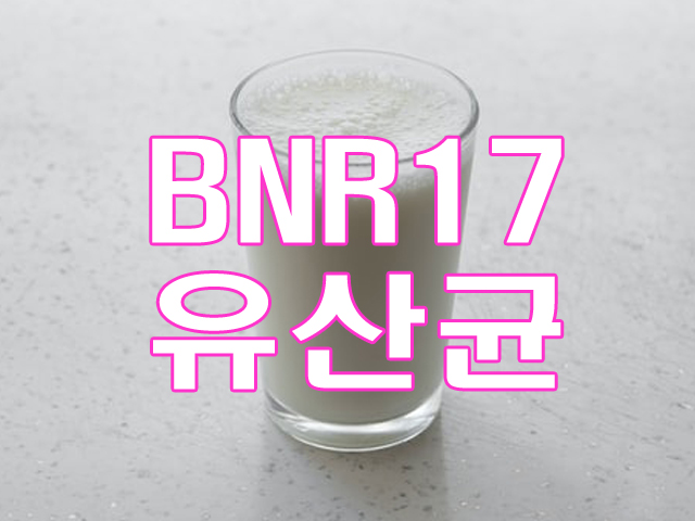 BNR17 모유유산균 락토바실러스 가세리 BNR17 유산균