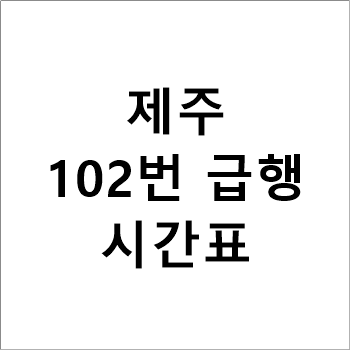 제주터미널-서귀포터미널, 102번 급행버스 시간표