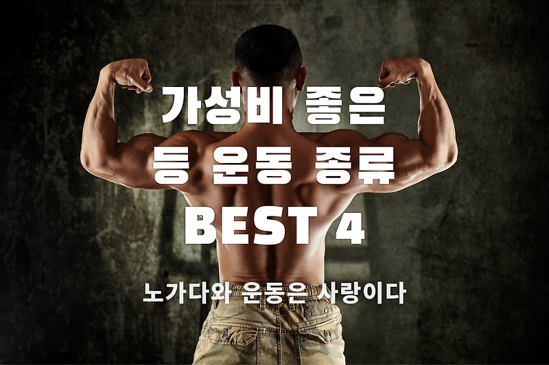 운동시간 대비 효과 좋은 등운동 추천 BEST 4