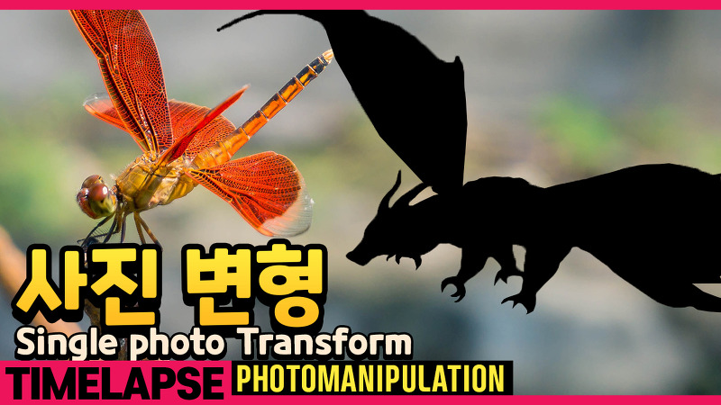 GOKKALOG :: [PS] 포토샵 타임랩스 01-단일 소스 사진 변형(dragonfly)