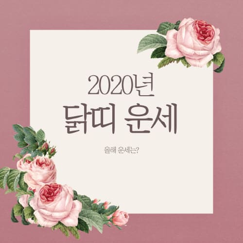 2020년 닭띠 운세 월별 총정리 - 진바름뉴스