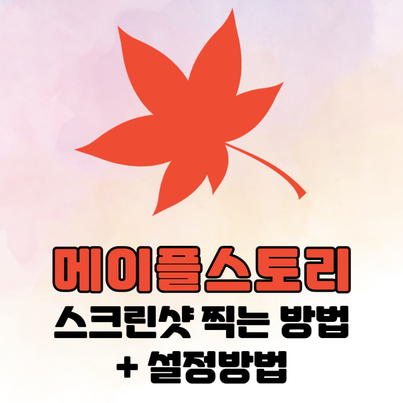 [메이플스토리] 스크린샷 찍는 법 + 설정 방법