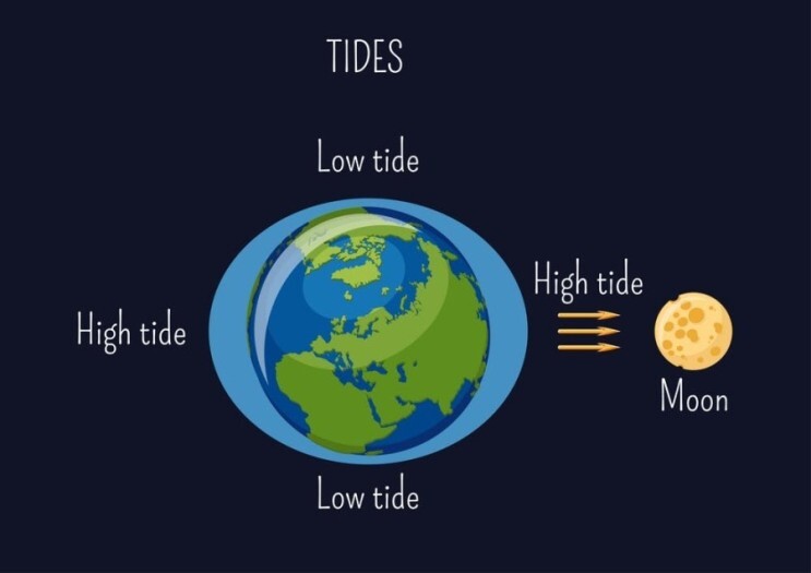 동해 서해 남해 조수 간만 차이 이유, 지형에 의해 간만의 차이, 조석파(tidal wave)