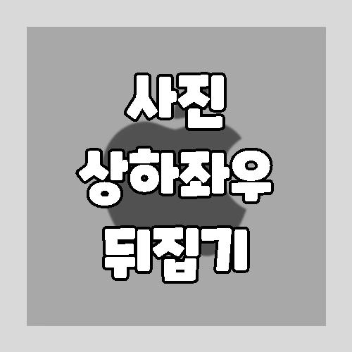 아이폰(아이패드)사진이나 이미지 좌우반전 방법(거울모드)