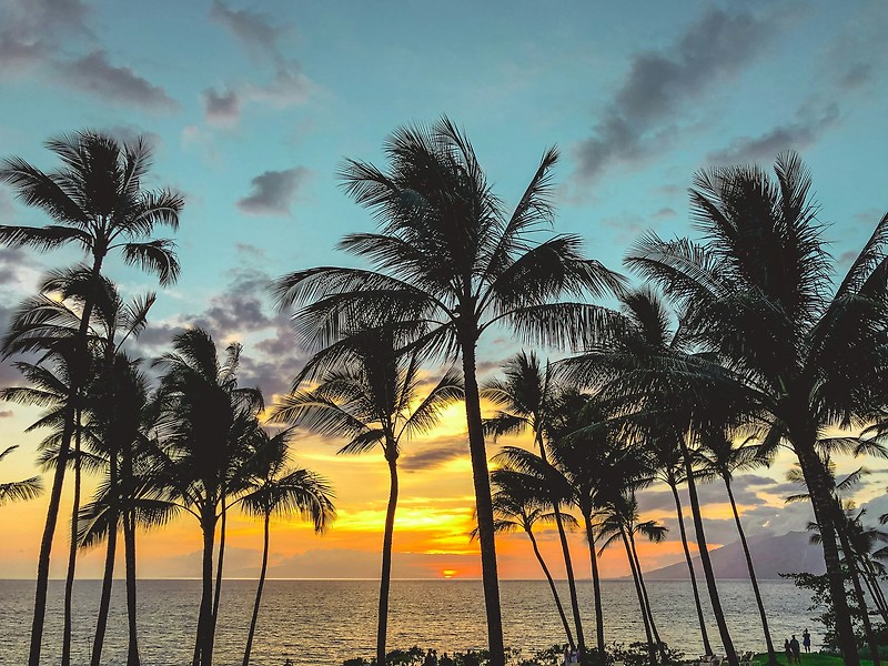 하와이 최고의 낙원 마우이섬 투어