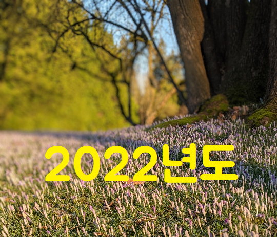 2022년 음력 양력 달력 생일 일자 날짜 변환표 - 정보의 공유 사회
