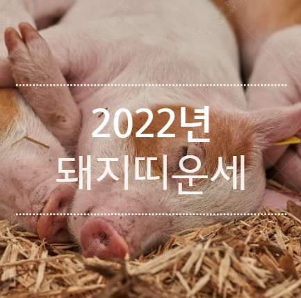 2022년 돼지띠운세 이동수를 조심하자 :: 가오만사성