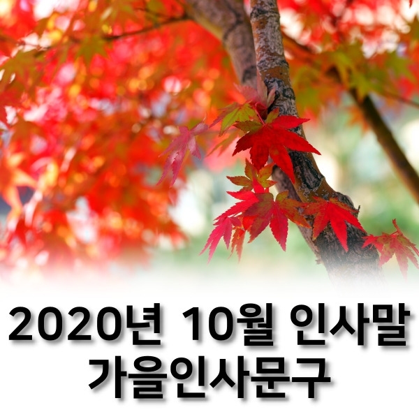2020년 10월 인사말 가을인사문구 추천