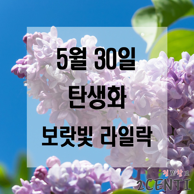 5월 30일 탄생화, 보랏빛 라일락 (lilac) 꽃말, 유래, 의미, 전설
