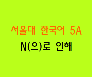 N(으)로 인해  Korean grammar