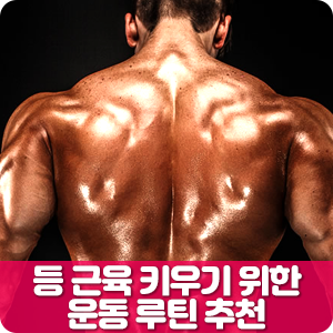 등근육 키우는 등운동 루틴