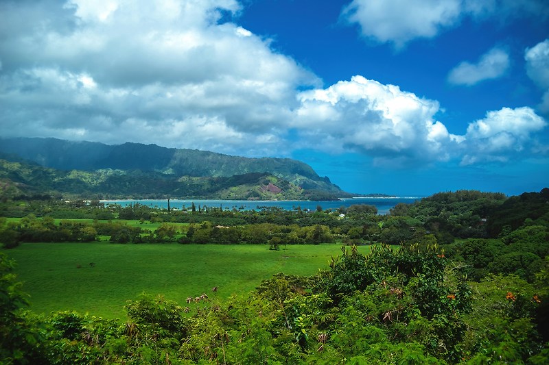 히와이 군도에서 가장 오래된 원시림을 간직하고있는 카올라이 섬