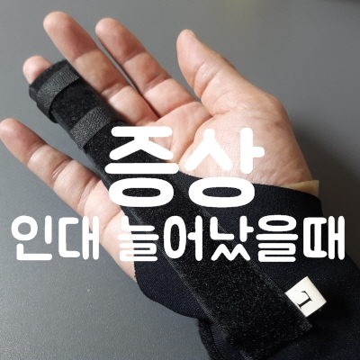 증상 인대 늘어남 [알쓸다정] 손목·발목
