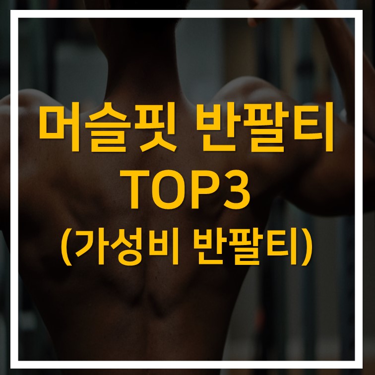 남자 머슬핏 반팔 TOP3 (가성비 머슬핏 반팔티 추천)