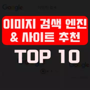 TOP 10 이미지 검색 엔진 사이트 [구글 뛰어넘는 성능✋]