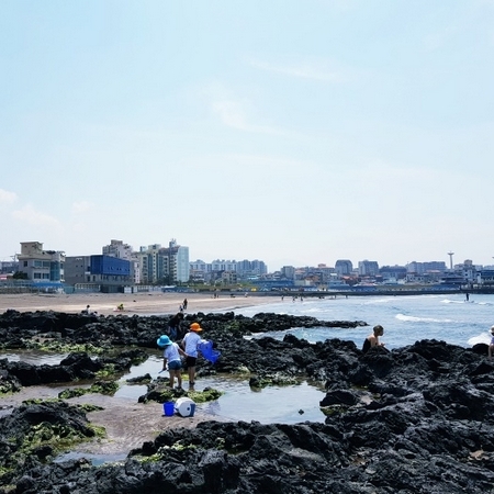 제주 삼양검은모래해변 아이들과 새우와 물고기 잡기