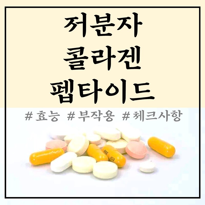 저분자 콜라겐 펩타이드 효능 및 부작용 총정리 (feat. 어류콜라겐)