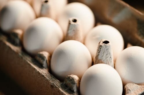 상한 계란 구별하는 법 + 버리는 법!