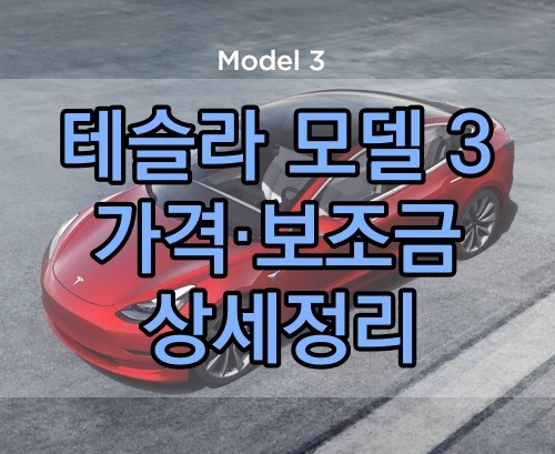 테슬라 모델3 가격 및 보조금 상세정리 - 일상과 생활 이야기