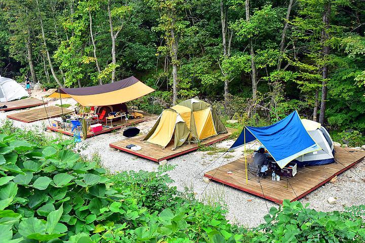 [경기도 포천시] 각흘계곡 캠핑장 - 도롱뇽과 다람쥐가 사는 천혜의 자연환경으로 둘러싸인 캠핑장