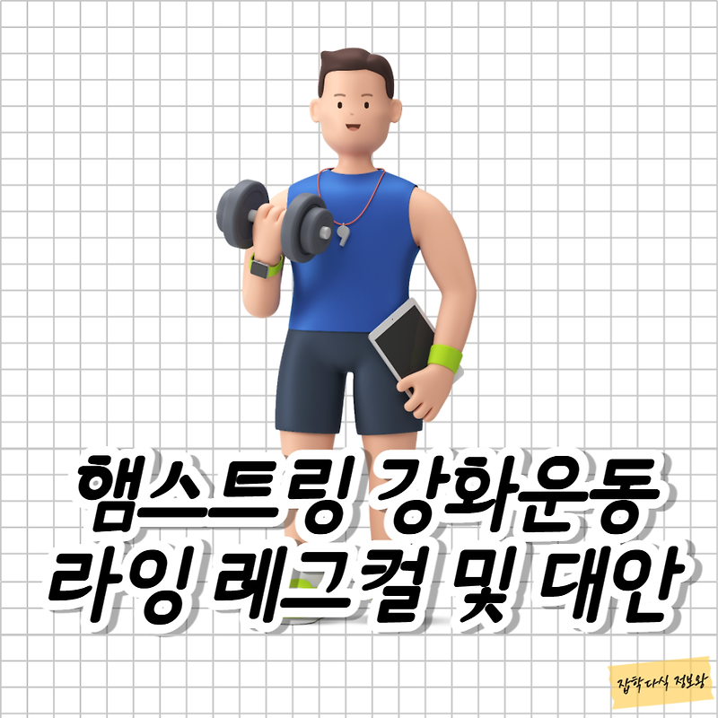 햄스트링 강화 운동기구 라잉 레그컬 운동 방법 및 햄스트링 스트레칭