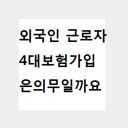 외국인 근로자들도 4대 보험에 가입해야 합니까? 등록 기준을 한 번에 정리하겠습니다! / 4대 보험 전문 노무사 외국인 근로자들도 4대 보험에 가입해야 합니까? 등록 기준을 한 번에 정리하겠습니다! / 4대 보험 전문 노무사