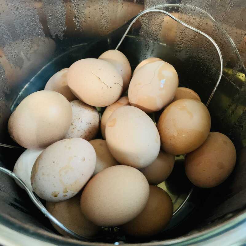 집에서 구운계란,구운달걀 만들기 w인스턴트팟