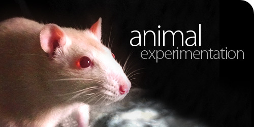 토론자료: 동물실험 찬반 근거 및 반박자료 정리
