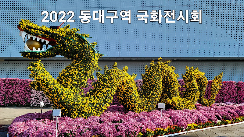 대구여행 /  3천 8백여 점의 국화작품 2022 동대구역 국화전시회 모형작.