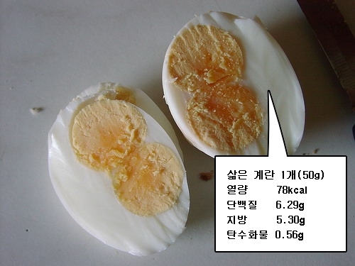 운동 보충제로 닭가슴살과 계란 흰자 먹는 요령 :: 마바리의 운동과 건강