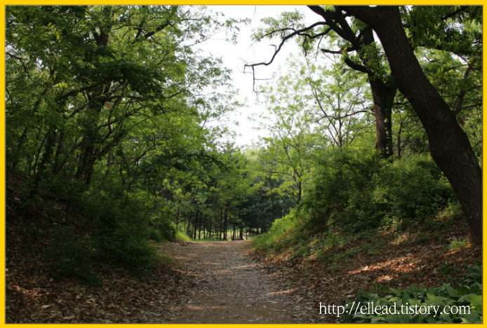 <서울 가볼만한 곳> 몽촌 토성 산책로와 올림픽 공원 야외조각들