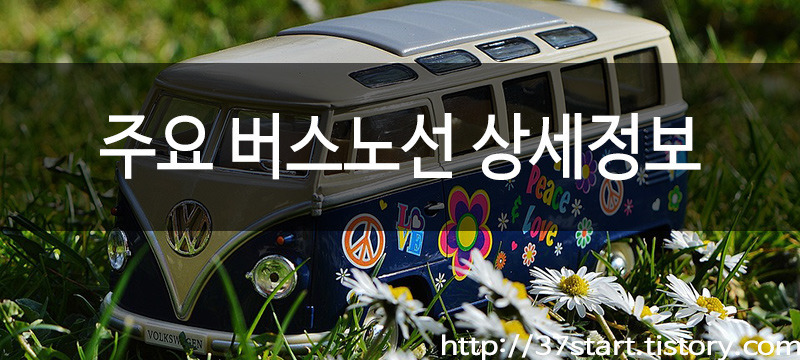 김포계양 선진버스 81-1번 버스노선 정보 :: 익스페리먼트 No.5