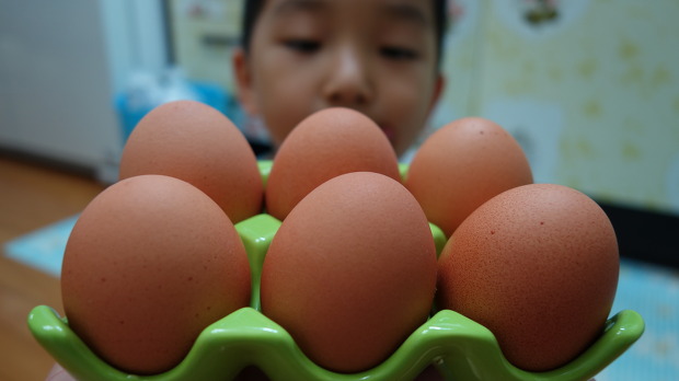 김주부의 계란 삶는 법! 삶은달걀, 물이 끓기 시작하면 바로 꺼라?