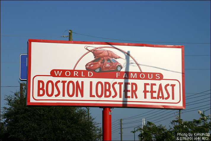 [올랜도 Boston Lobster Feast] 랍스터 부페를 먹으러 고고씽!
