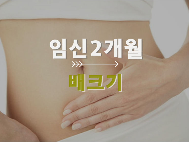 임신2개월 배,어떤 증상들이 있나요? ▣ 딸기대디의 임신이야기 ▣