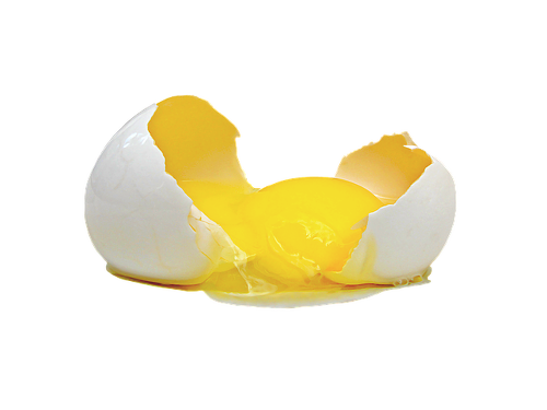 '상한' 달걀 구별하는 초간단 꿀팁 7가지