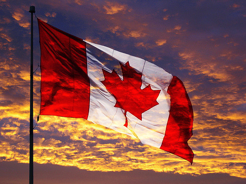 #1. 캐나다 경찰 지원부터 되는 방법 — 백고미의 정신세계