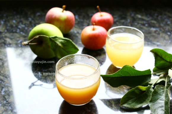 햇사과로 만드는 쉬운 애플사이더(사과효소와 애플 사이더)