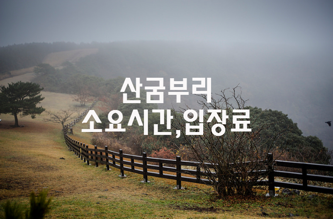 제주도 산굼부리 소요시간, 입장료 (주변관광지) 알고 가세요!