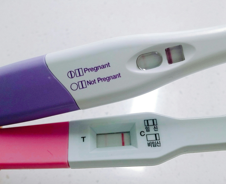임신테스트기 희미한 두줄 정확도 : 두근두근