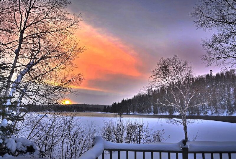 초고화질 겨울 눈 나무 배경화면 바탕화면 이미지 사진 모음