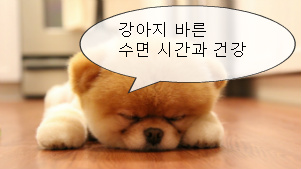 PuppyHappy :: 강아지가 잠을 많이 자나요? 강아지 수면시간과 건강, 개가 잠을 많이 자는 이유