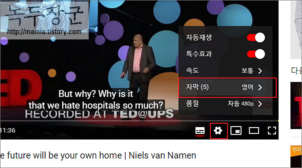 유튜브 YouTube 한국어로 자동 번역 설정하는 방법