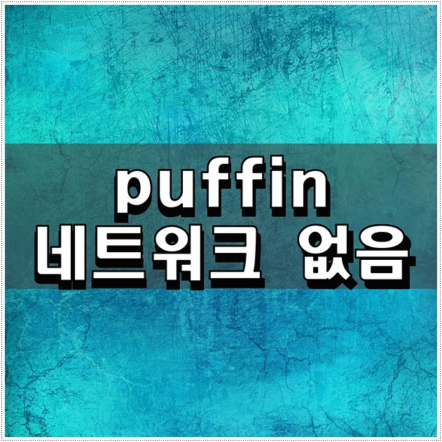 puffin 네트워크 없음 원인과 해결 방법