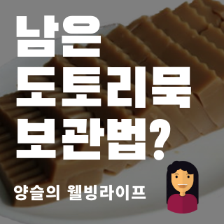 다이어트 식단으로 좋은 도토리묵 보관법은? :: 양슬의 웰빙 라이프