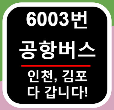 서울대 공항버스 6003번 이용방법 총정리 (2018년 배차시간 업데이트)