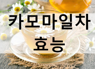 카모마일차 효능 10가지