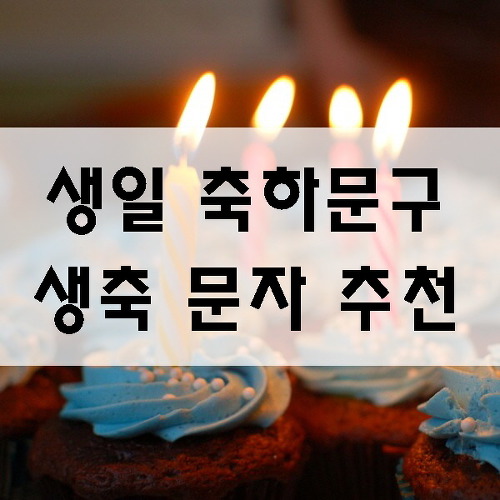 재미있는 생일 축하문구, 생일축하 문자메세지 생축메시지 추천