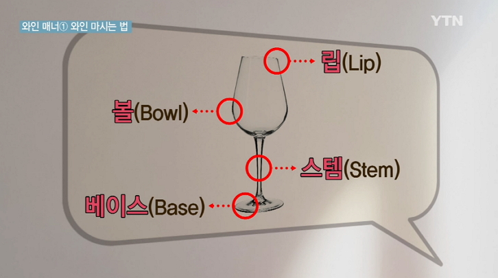 와인잔 잡는 법 와인잔 명칭 와인 마시는 방법